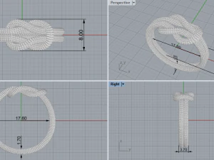 Rope Rings 120 3D print model 3D Model