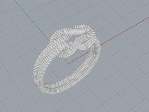 Rope Rings 120 3D print model 3D Model