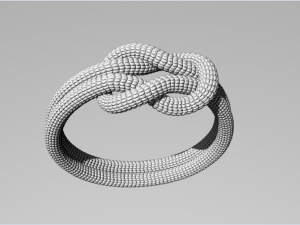 Rope Rings 120 3D print model 3D 模型