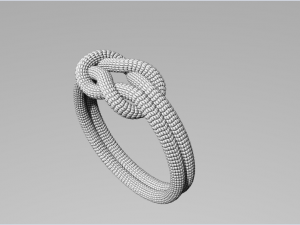 Rope Rings 120 3D print model 3D 模型