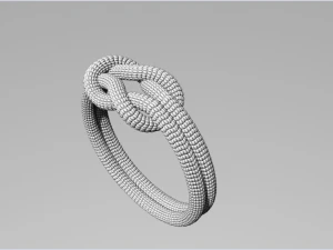 Rope Rings 120 3D print model 3D Model