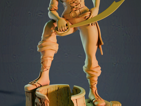 Pirate girl 3Dプリントモデル