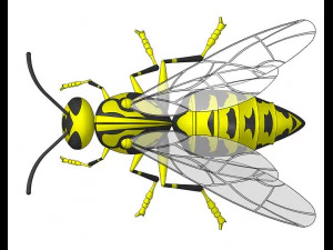 wasp model animals 3D Model