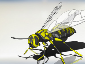wasp model animals Model 3D