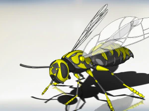 wasp model animals 3D Model