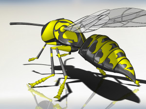wasp model animals Model 3D