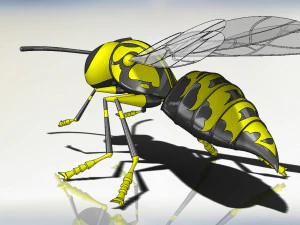 wasp model animals 3D Model