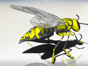 wasp model animals Model 3D
