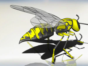 wasp model animals 3D Model