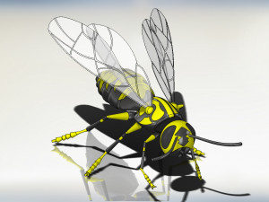 wasp model animals Model 3D