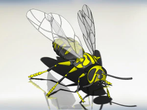 wasp model animals 3D Model