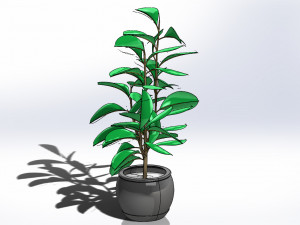 potted plants tree 2 model Modèle 3D