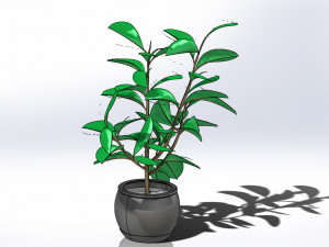 potted plants tree 2 model Modèle 3D