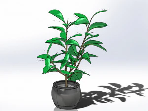 potted plants tree 2 model 3D Model