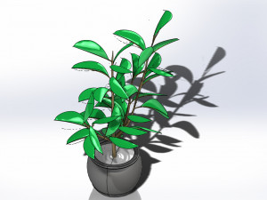 potted plants tree 2 model Modèle 3D
