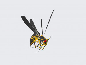 wasp robotic 3D मॉडल