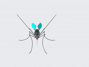 mosquito robot Modèle 3D