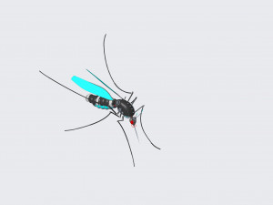mosquito robot Modèle 3D