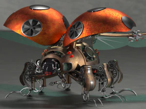 beetles bug model 3D Model