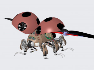 beetles bug model 3D 模型