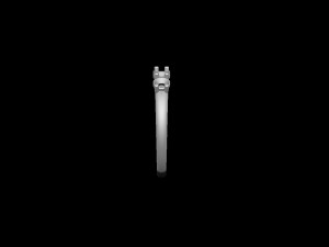 Engagement ring 3D Print Model