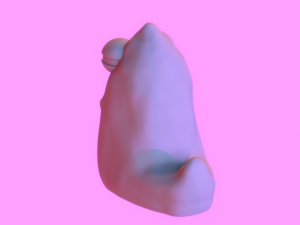 the pupa 3D 打印模型