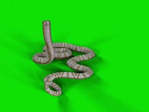 snake 3D Модель