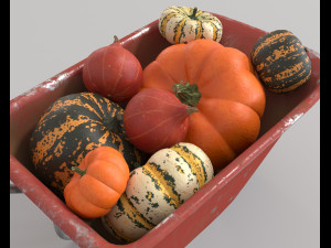 Wheelbarrow with pumpkins 3D Model