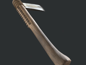 Ancient Bone Ax 3D Модель
