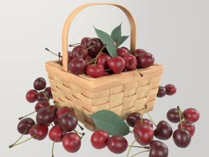 チェリーバスケット 3Dモデル