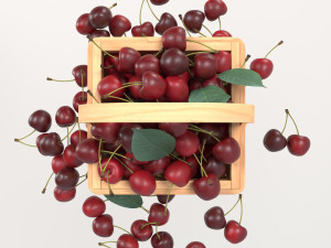 Cherry basket Modelo 3D