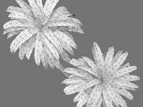 Cordyline indivisa Free 3D 模型