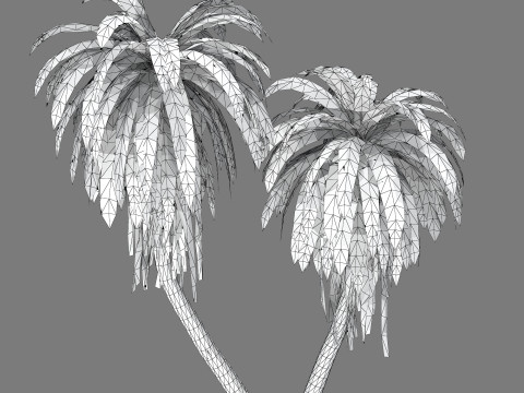 Cordyline indivisa Free 3D 模型