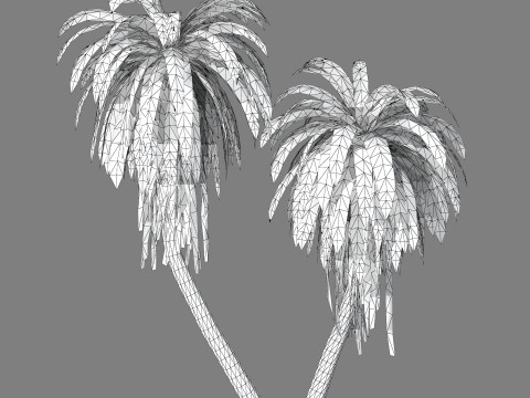 Cordyline indivisa Free 3D 模型