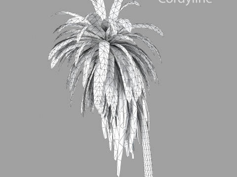 Cordyline indivisa 3D 모델