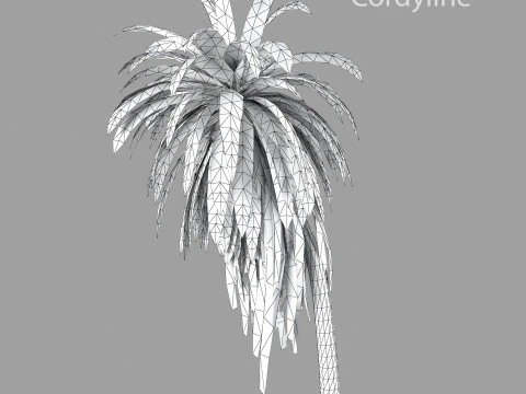 Cordyline indivisa 3D Model
