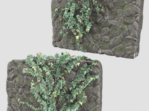 Stone wall with ivy Modello 3D
