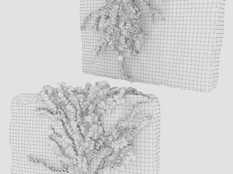 Stone wall with ivy 3D Model