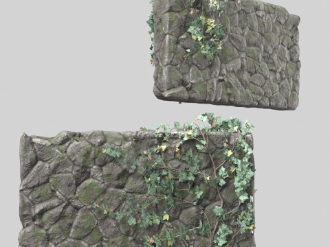 Stone wall with ivy Modello 3D