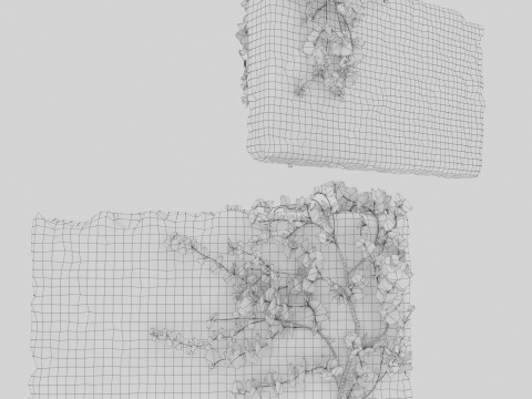Stone wall with ivy Modello 3D