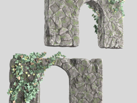 Stone wall with ivy Modello 3D