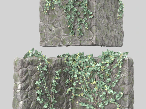 Stone wall with ivy 3D Model