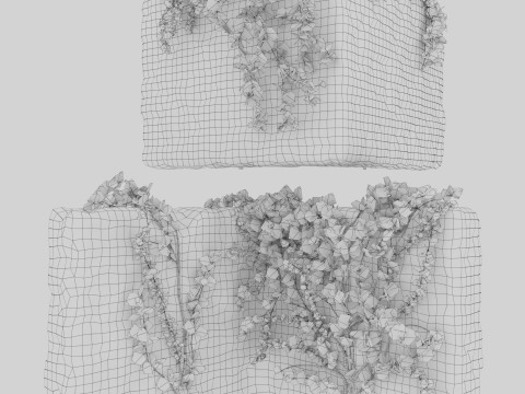 Stone wall with ivy Modello 3D