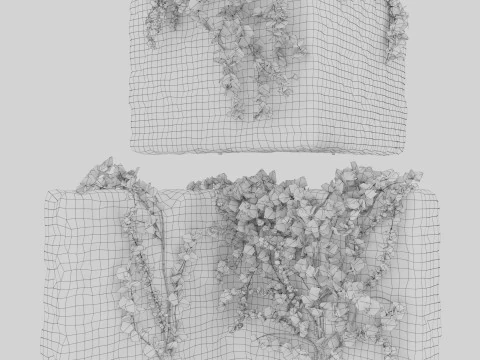 Stone wall with ivy 3D Model