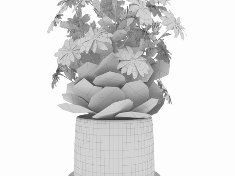 Flower in a pot 3Dモデル