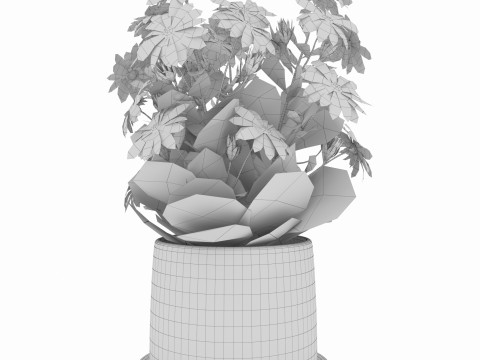 Flower in a pot 3Dモデル
