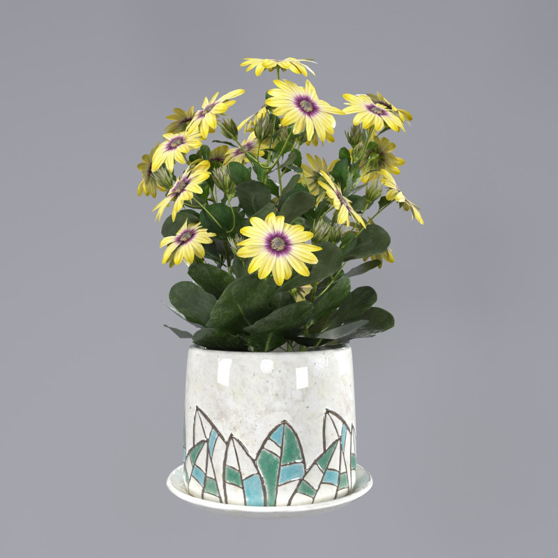 Flower in a pot 3Dモデル .c4d .max .obj .3ds .fbx .stl .blend 