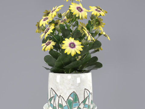 Flower in a pot 3D Model