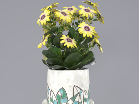 Flower in a pot 3Dモデル
