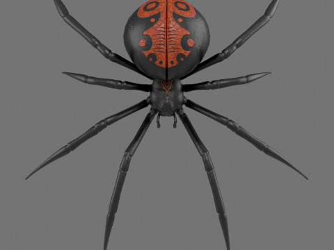 Spider Black Widow 3D Модель